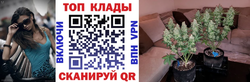 Где купить Усолье Конопля
