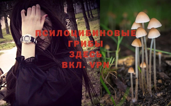 MDMA Premium VHQ Кулебаки