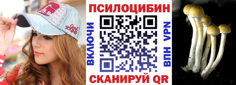 цена   Усолье  Псилоцибиновые грибы мицелий 
